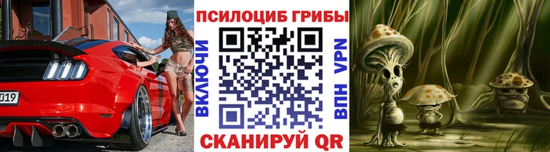 Псилоцибиновые грибы Cubensis  Павловский Посад 