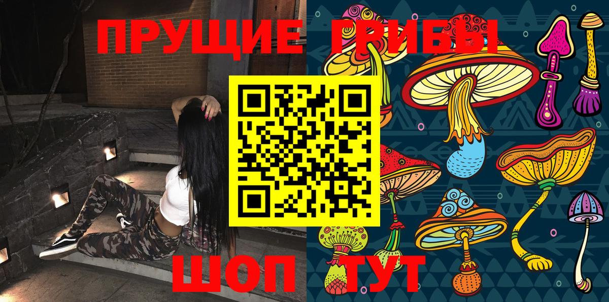 Псилоцибиновые грибы прущие грибы Павловский Посад